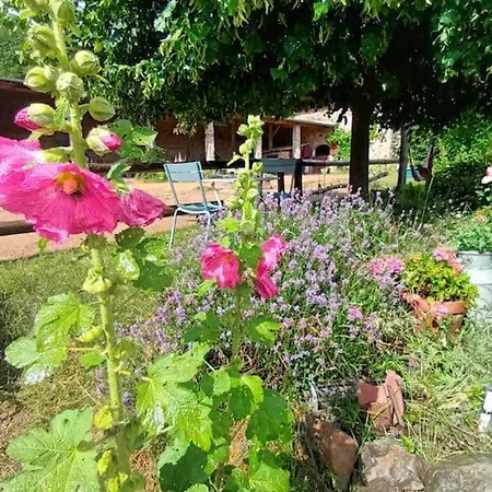 La Maisonnette De L'etape Beaujeu (Rhone)